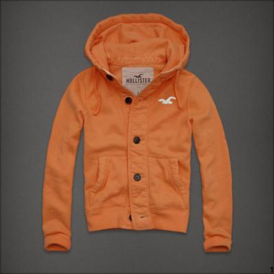 Hollister Men Hoodies-105